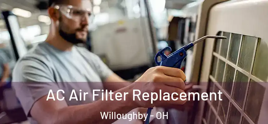  AC Air Filter Replacement Willoughby - OH