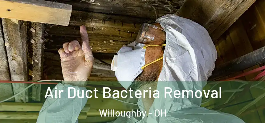 Air Duct Bacteria Removal Willoughby - OH