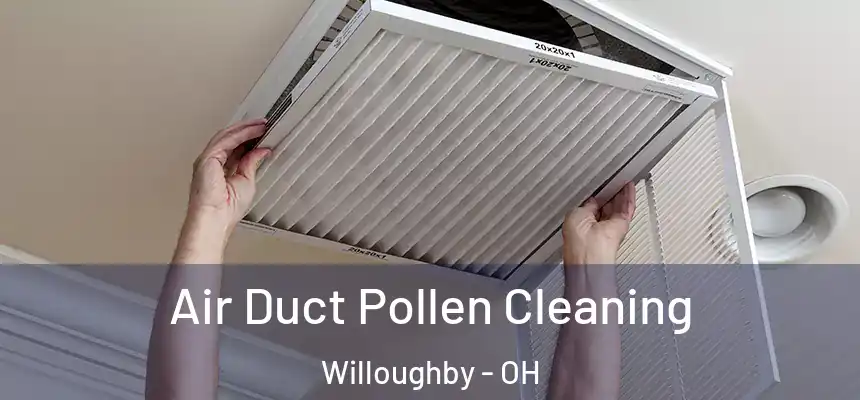 Air Duct Pollen Cleaning Willoughby - OH
