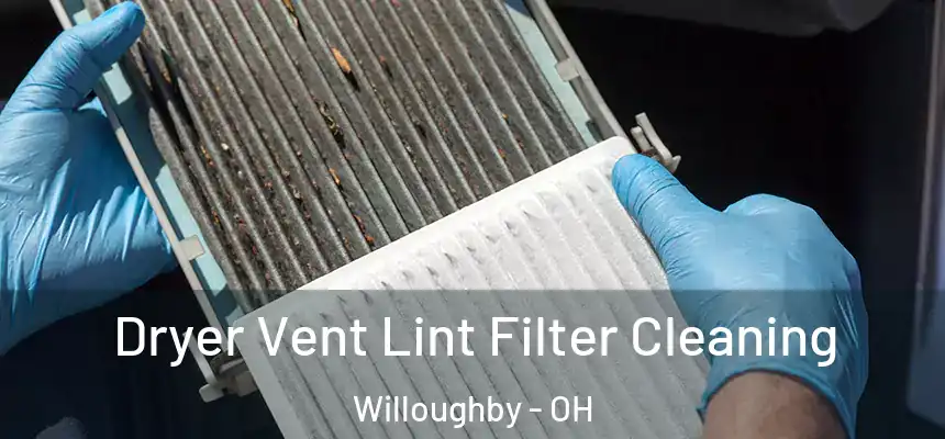  Dryer Vent Lint Filter Cleaning Willoughby - OH