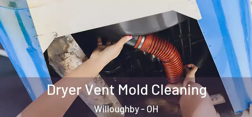  Dryer Vent Mold Cleaning Willoughby - OH