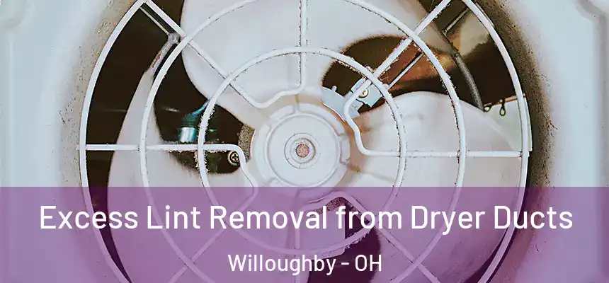 Excess Lint Removal from Dryer Ducts Willoughby - OH