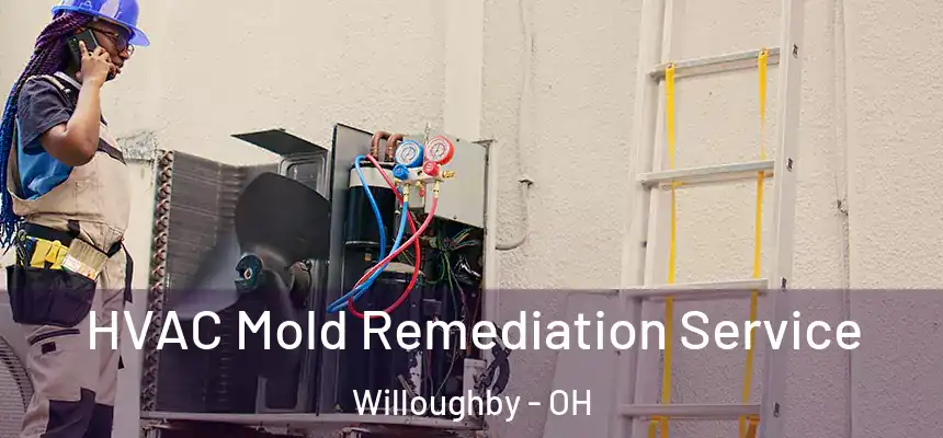  HVAC Mold Remediation Service Willoughby - OH