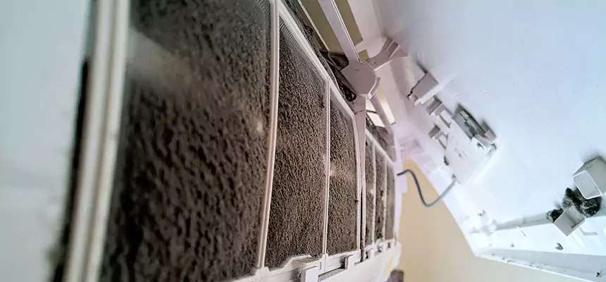 Preventive Air Duct Bacteria Removal in Willoughby