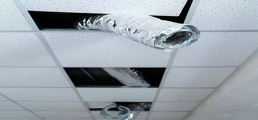 Our Air Duct Pet Hair Removal Services in Willoughby, OH