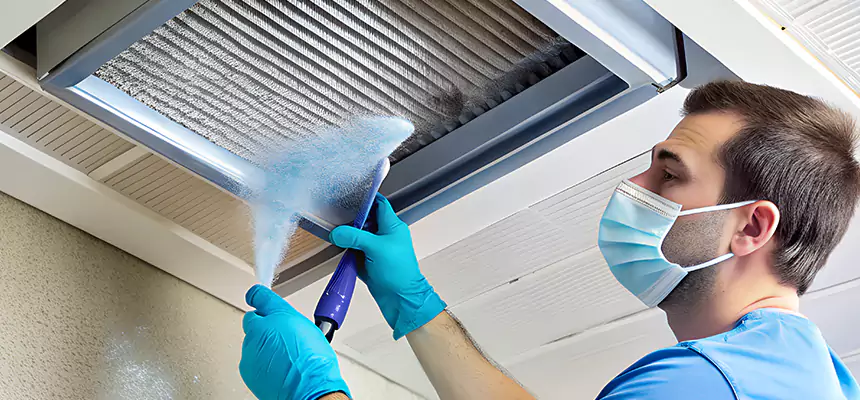 Proactive Dryer Vent & Auxiliary Duct Pollen Cleanup in Willoughby, OH