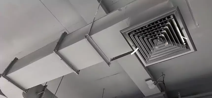 Restorative Allergy Relief Vent Cleaning – Coil, Blower & Housing Detail in Willoughby