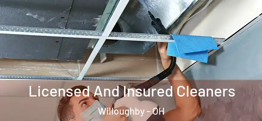 Licensed And Insured Cleaners Willoughby - OH