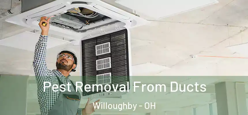 Pest Removal From Ducts Willoughby - OH