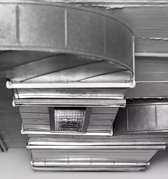 Professional Air Duct Pet Hair Removal in Willoughby, OH