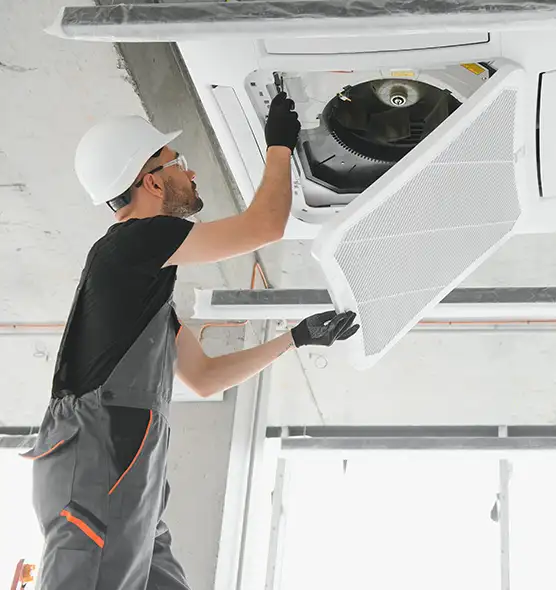 About Air Duct Rodent Removal in Willoughby, OH