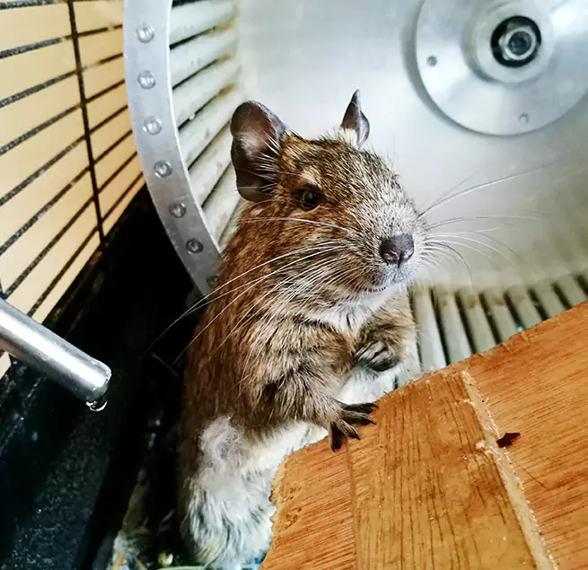 Why Homeowners & Businesses Trust Us Willoughby, OH